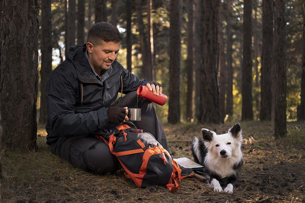 Building a Stronger Bond Outdoor Adventures with Your Dog (3)